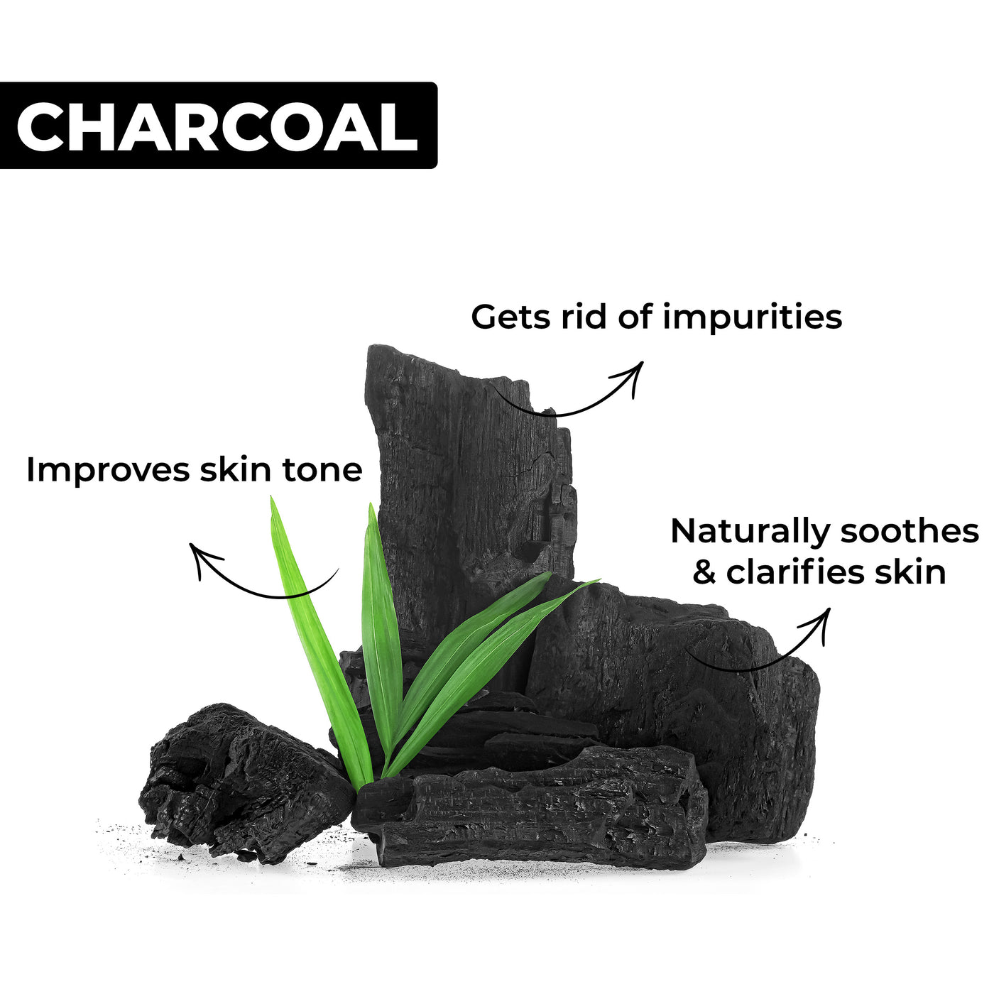 Skin Purifying Activated Charcoal Facewash (100ml)